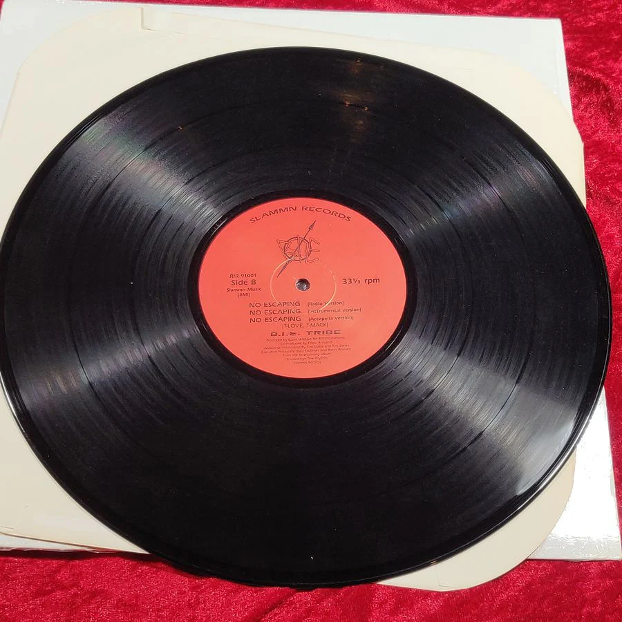 B.I.E. TRIBE - No Escaping LP - Image 5