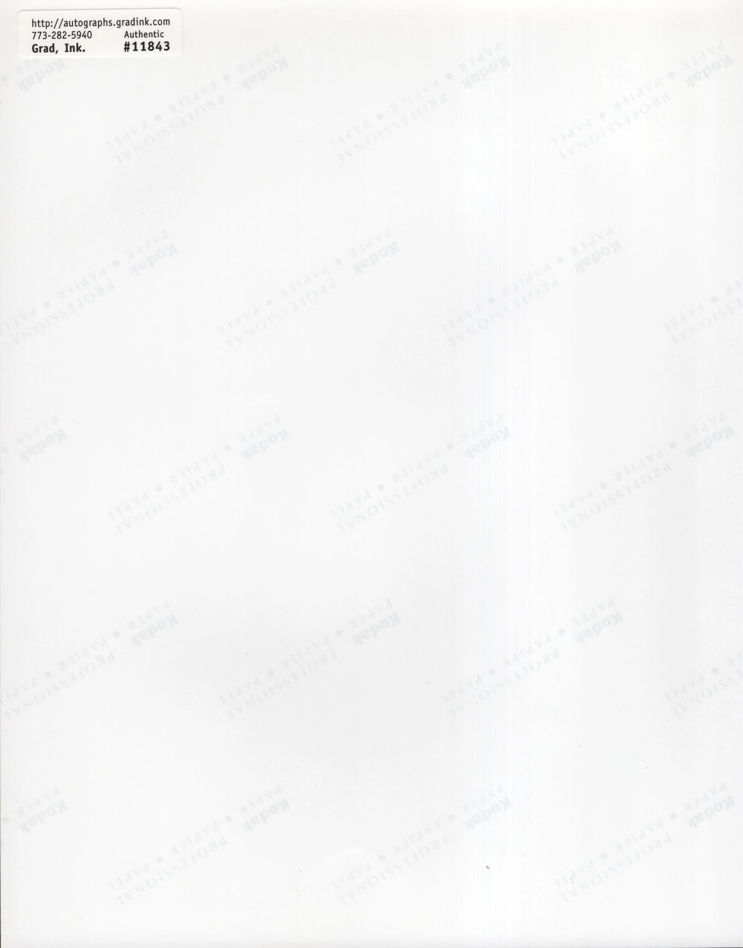 Heather Donahue Signed Photo 8x10, Heather Donahue Autograph in The Blair Witch Project, Rei Hance Autograph, PSA Letter Certified Authentic - Image 2