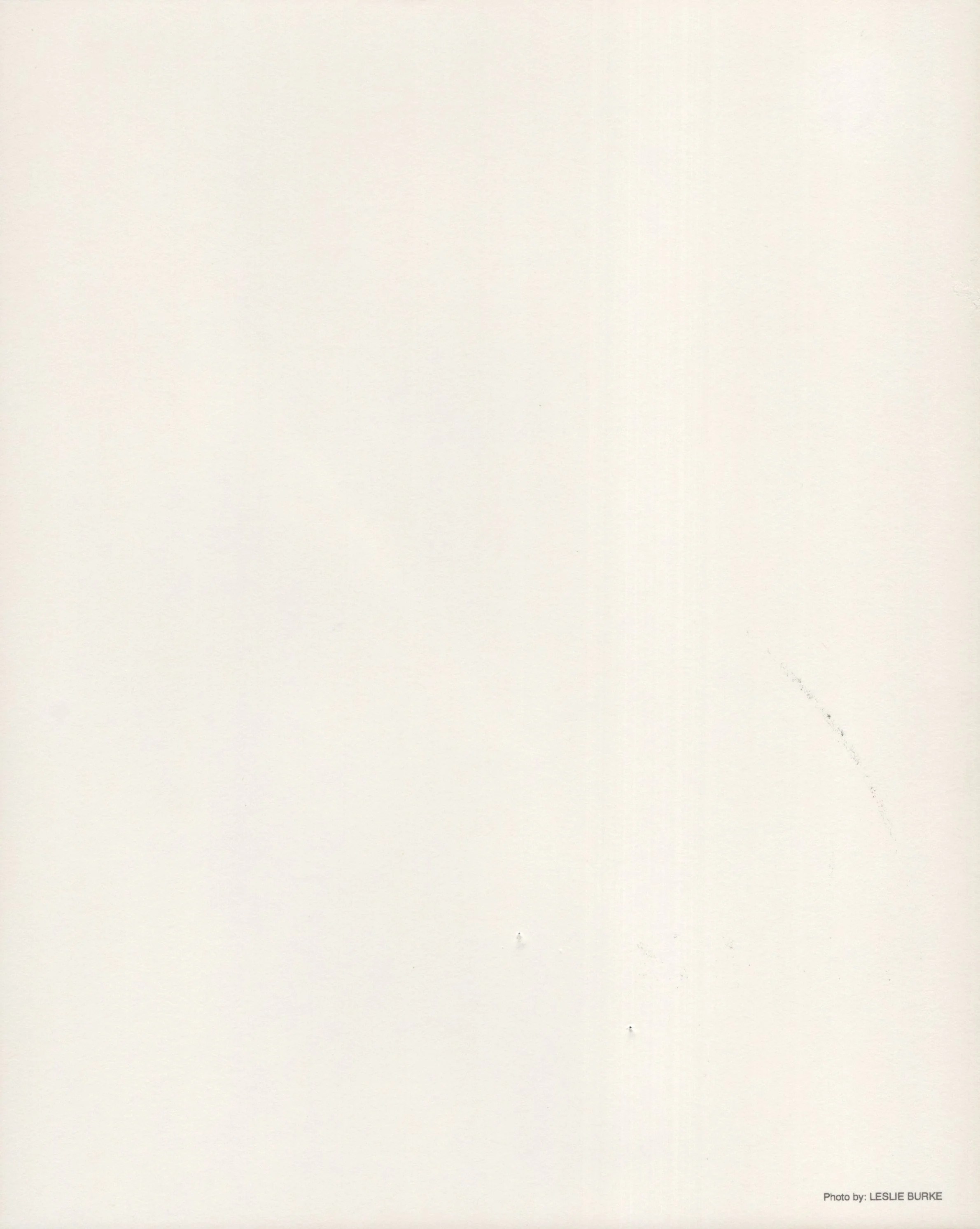 Jean-Claude van Damme Signed Photo 8x10, Jean-Claude van Damme Autograph, Possibly Stamped with Light Damage - Image 2