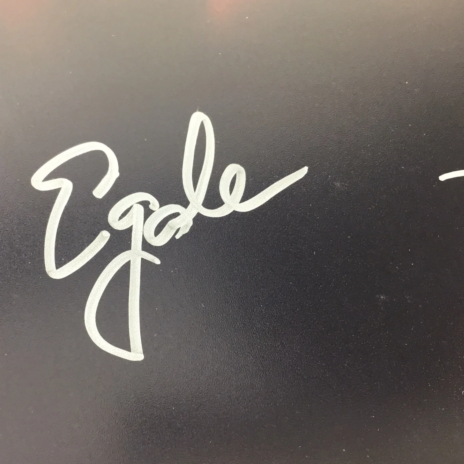 Lea Thompson / Ed Gale Signed 11x14 Photo - Howard the Duck (Beckett Certified) - Image 3