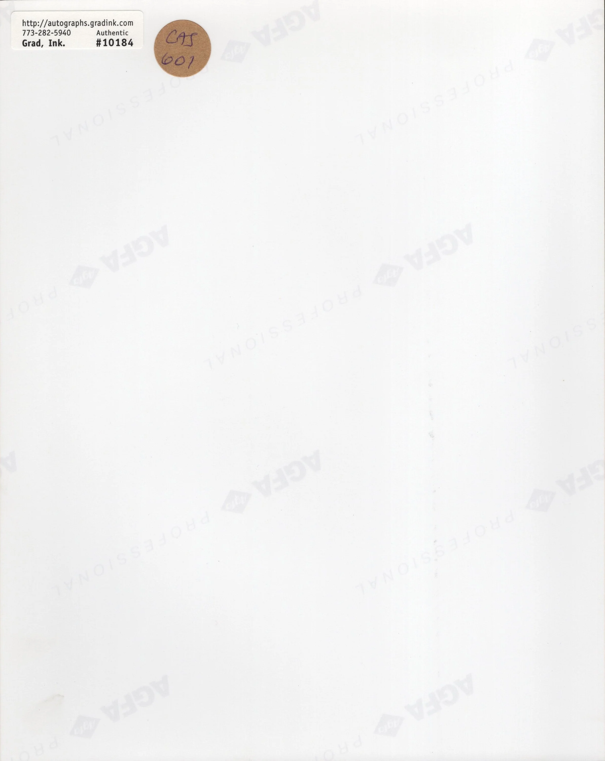 Lou Diamond Phillips Signed 8x10 Photo in La Bamba PSA JSA Letter Verified - Image 2