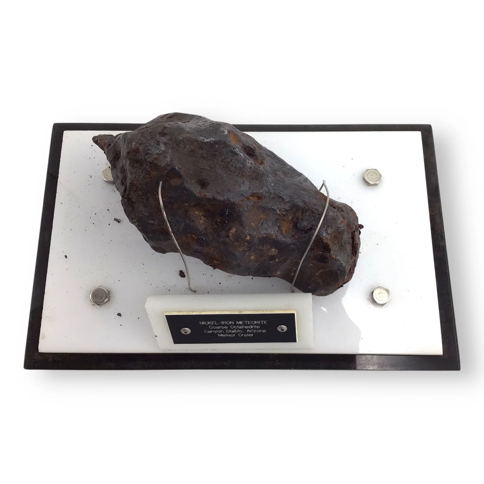 Meteorite, Canyon Diablo, Arizona, 1356G, John A. Lednicky Estate - Image 12