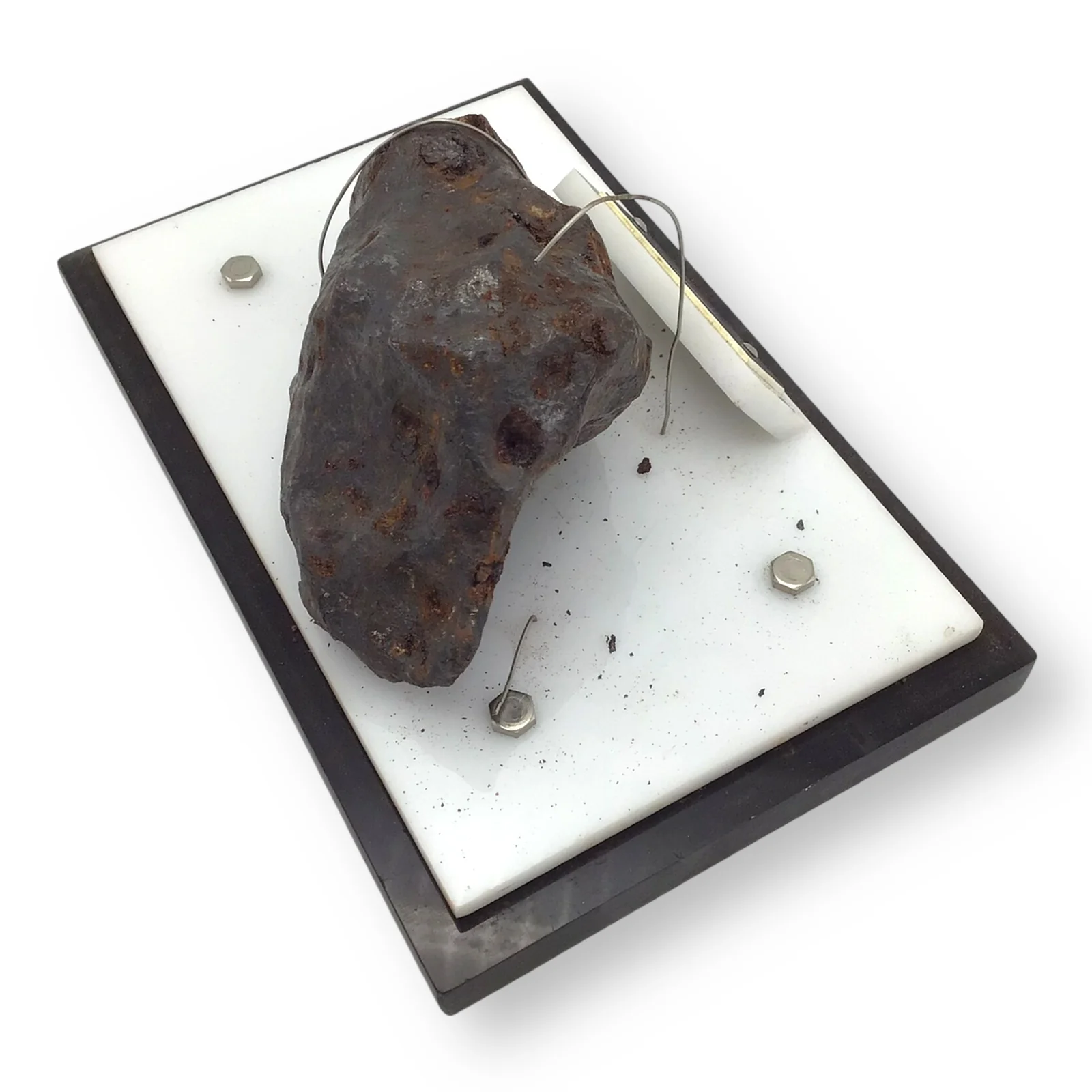 Meteorite, Canyon Diablo, Arizona, 1356G, John A. Lednicky Estate - Image 9