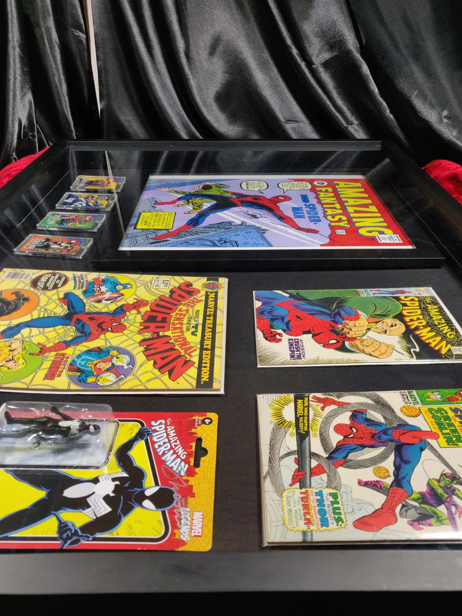 Ode to Spiderman Shadowbox Stan Lee & Jim Shooter Autographs JSA Certified - Image 9