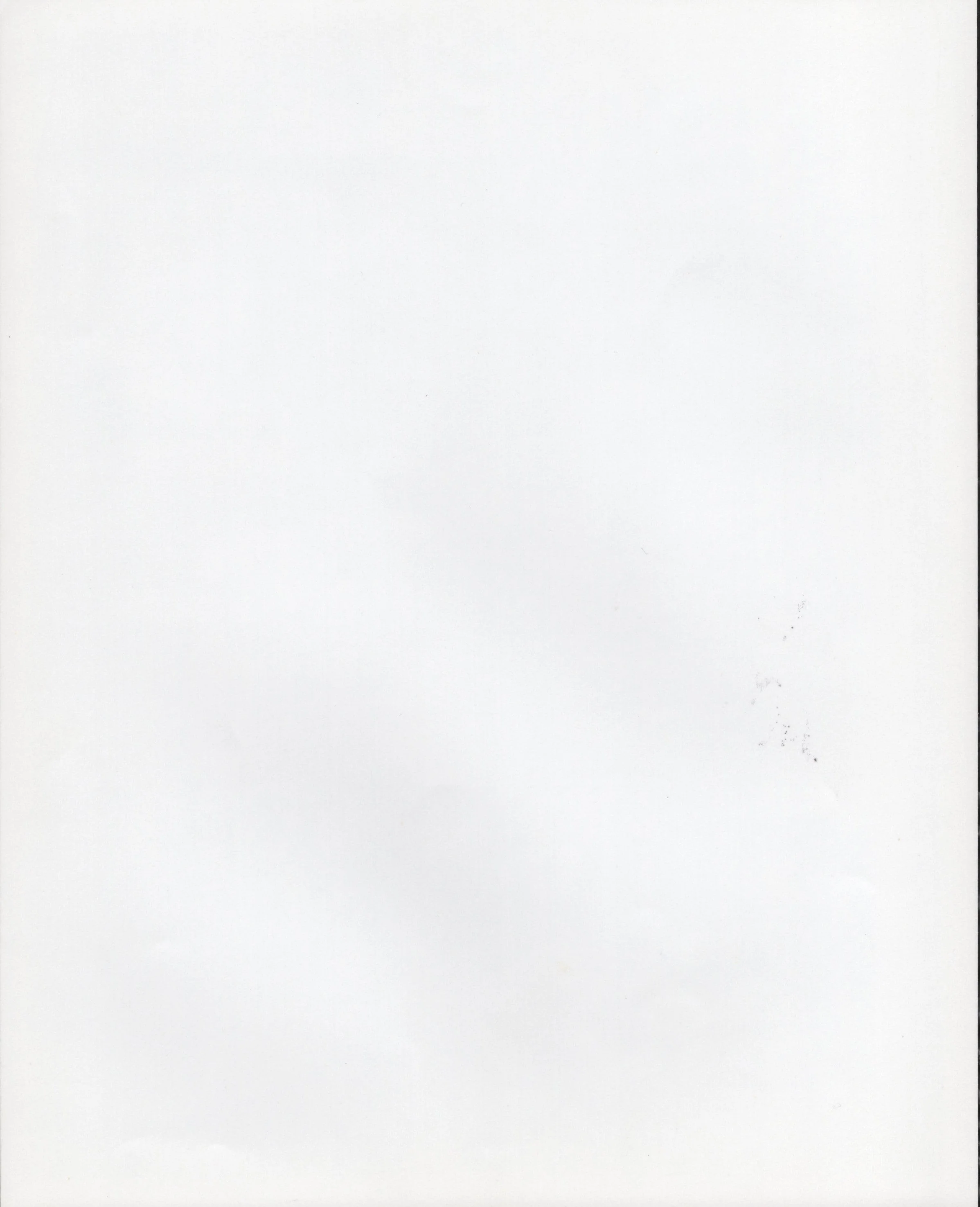 Woody Allen Signed Photo 8x10 – Broadway Danny Rose, Secretarial Signature - Image 2